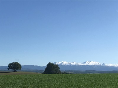 自然と畑が織りなすここにしかない景色