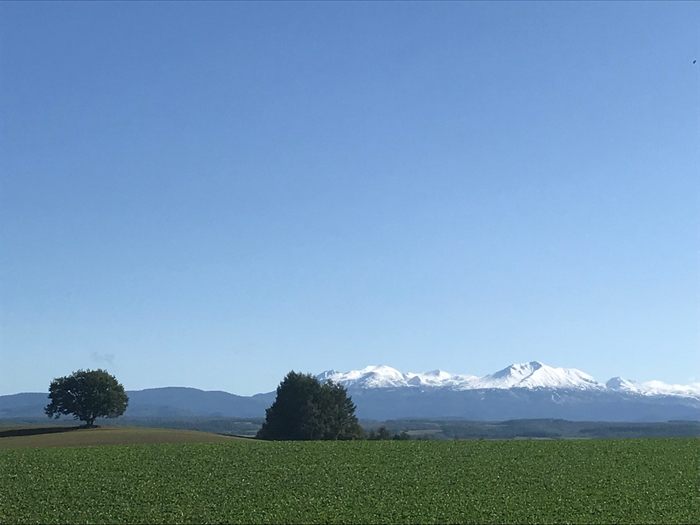 自然と畑が織りなすここにしかない景色