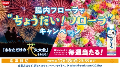 “日常空間”で、一生に一度の“非日常体験”を　 「あなただけの密にならない花火大会」 （100万円相当)が当たる！ 色や形、順番も自分好みにカスタマイズした花火を あなたのご自宅の近く※で打ち上げます！※条件あり