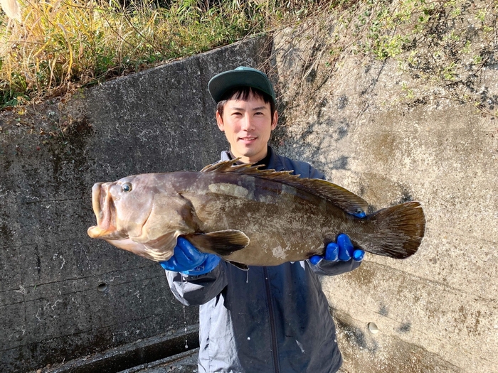 対馬の漁師銭本氏から届く天然クエ