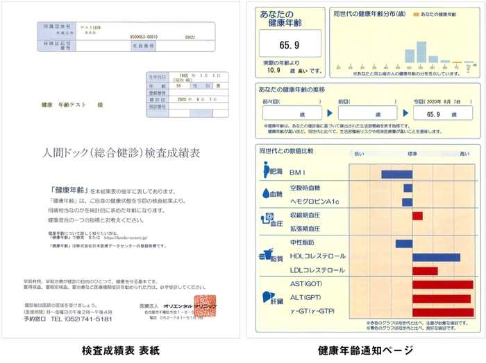 検査成績表 表紙と健康年齢通知ページ