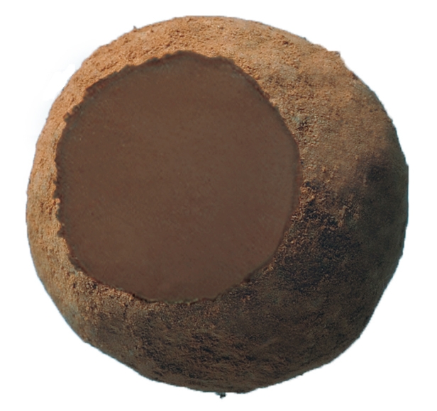 ブリリアントトリュフ芳醇ほうじ茶生地(1)