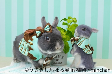 ＜2年ぶり福岡＞ もふカワ“うさぎの祭典”は新作ベースで凱旋 「うさぎしんぼる展 2022 in 福岡」4/23～開催！限定グッズ登場