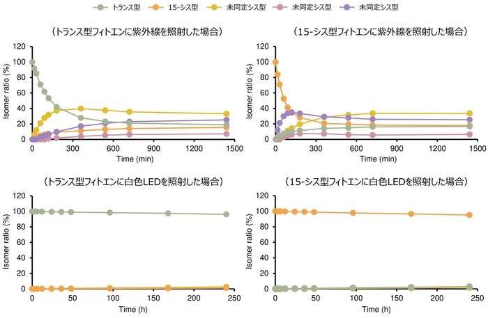図３： 光照射（紫外線・白色LED）によるフィトエンの異性化挙動