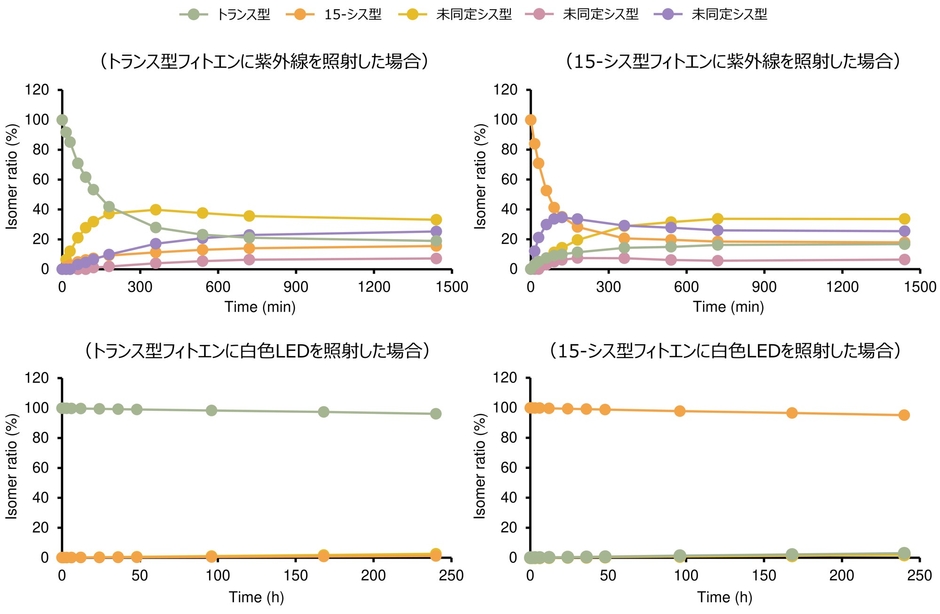 図3: 光照射(紫外線・白色LED)によるフィトエンの異性化挙動