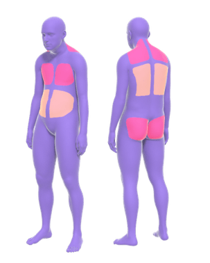 未来姿勢アバター