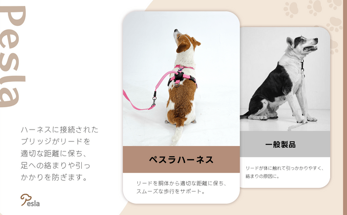 イメージ5