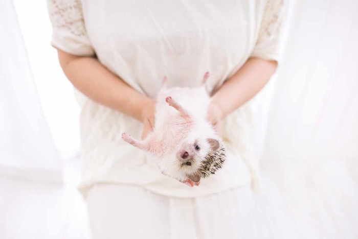 「ボクの針は痛くない」画像6