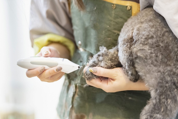 犬によってはどうしても爪切りを嫌がってしまい出来ないことがあります。