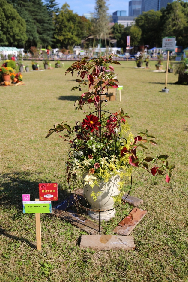 2022年度 環境大臣賞 ≪流るる 無伴奏チェロ組曲≫ 阿須間 浩子