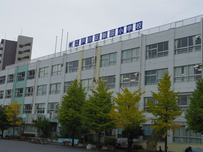 江戸川区立新田小学校画像