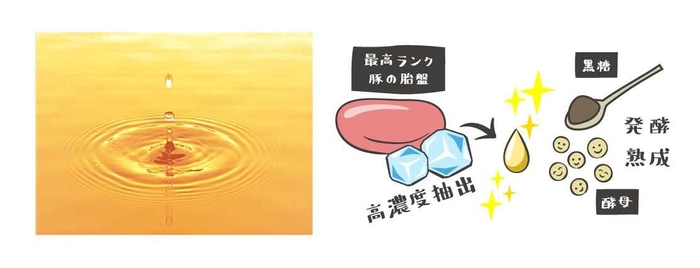 いつものキレイと健康を意識される方に 発酵熟成プラセンタ