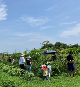 子どものスマホ依存が急増する夏休み、身体にも心にも悪影響が　 九十九里でスマホを手放し、畑仕事や水遊びの親子プログラムを開催