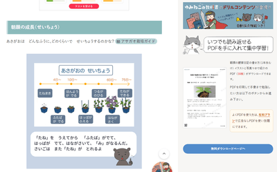 朝顔の成長段階と観察ポイントを、写真と図解で分かりやすく解説
