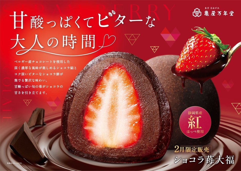 東急線ドア横ポスター