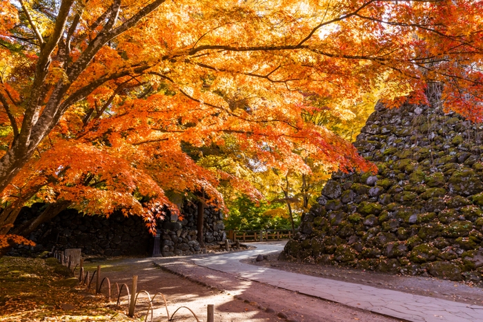 小諸城址懐古園紅葉まつり