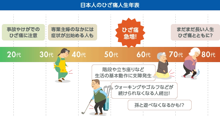 11月13日は「いいひざの日」 若い人ほど見て欲しい「ひざ痛人生年表」を発表 ～ひざ痛との長～いお付き合いは、老後20年以上！？～