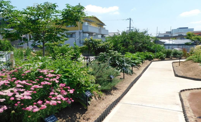 近畿大学薬学部　薬用植物園