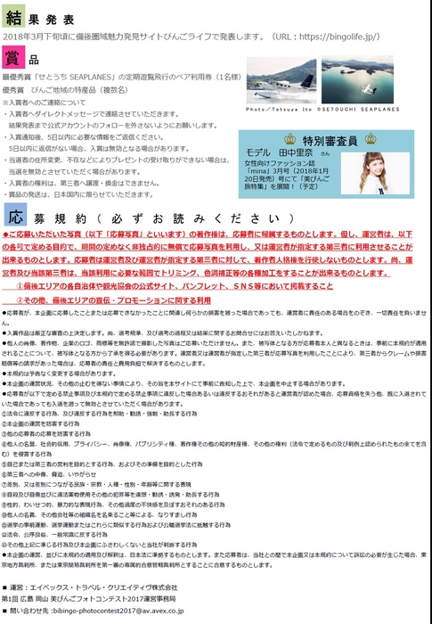 美びんご(びびんご)フォトコンテスト2017(チラシ裏)