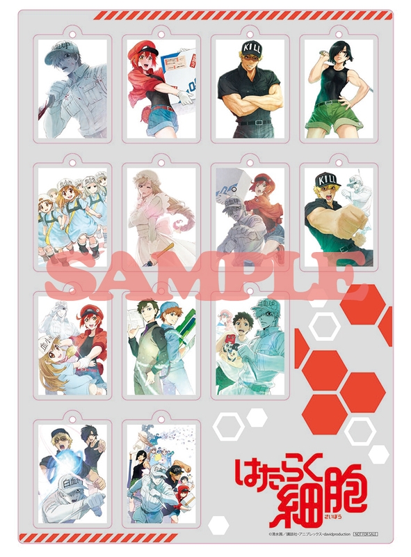 【楽天ブックス(特典付きカートのみ対象)】ミニミニアクリルキーホルダー13種 全ジャケットコンプリートセット