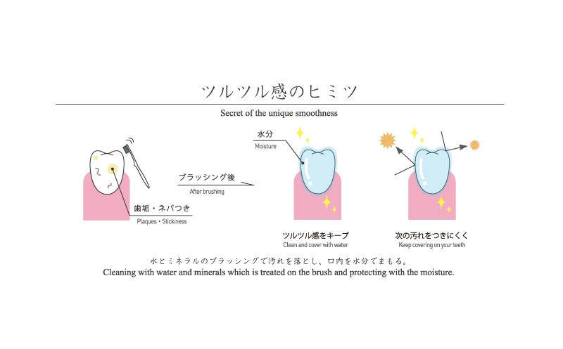 MISOKA歯ブラシ　ツルツル感のヒミツ
