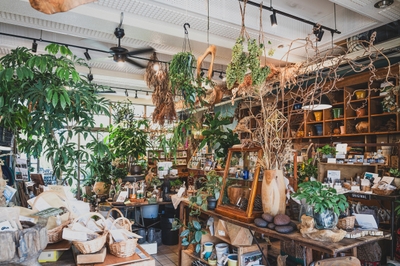 HERB SHOP内装