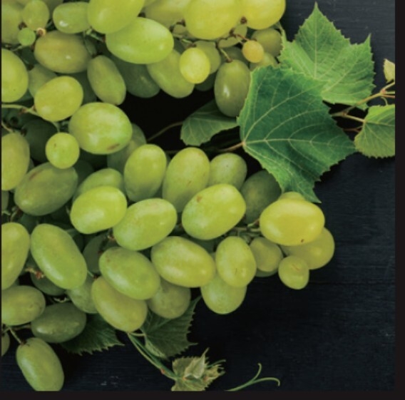 クロノシャルディ