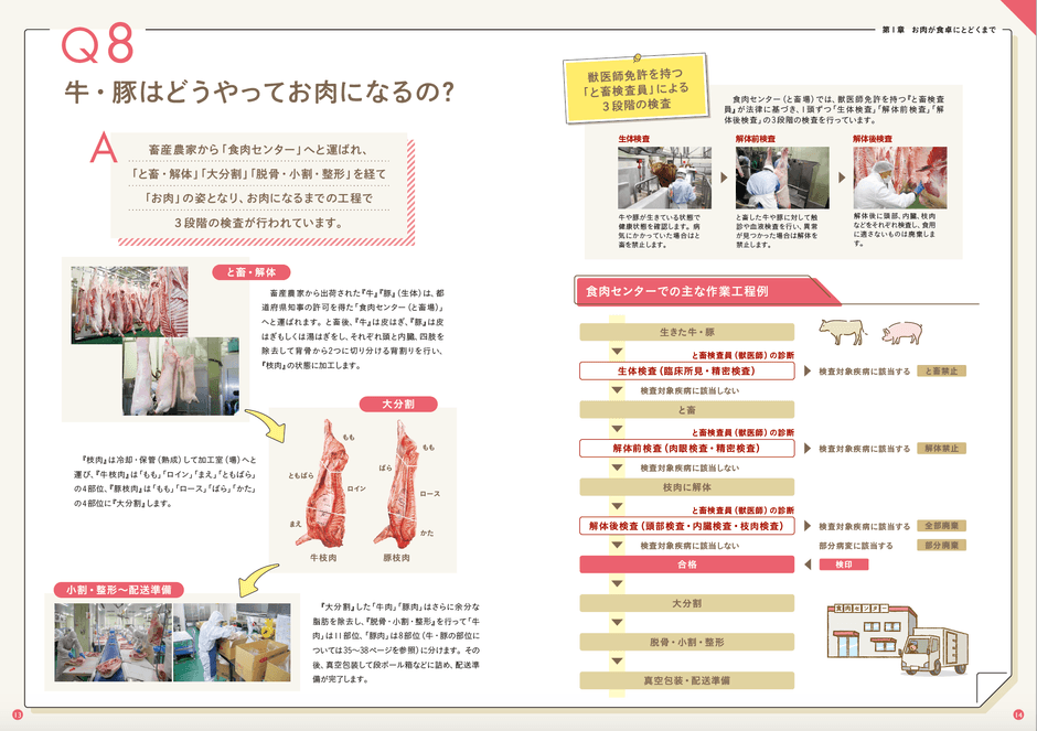 「お肉の食育Q&A」中面ページ