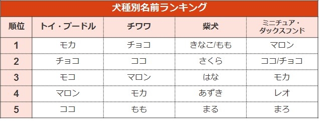 犬の名前ランキング2019（犬種別）