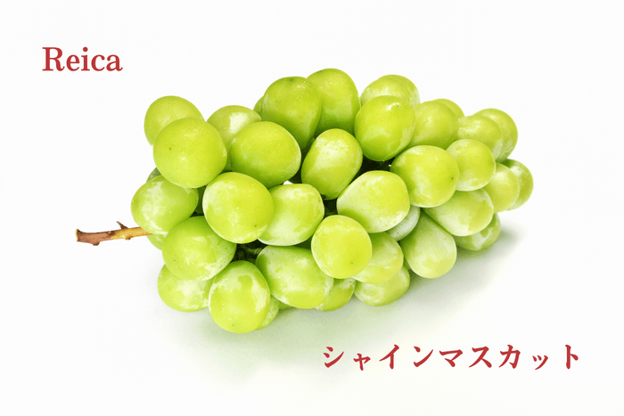 Reica「シャインマスカット」
