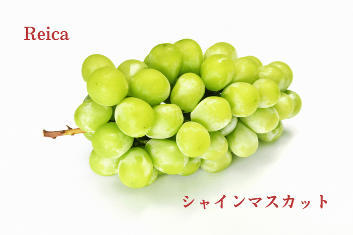 Reica「シャインマスカット」