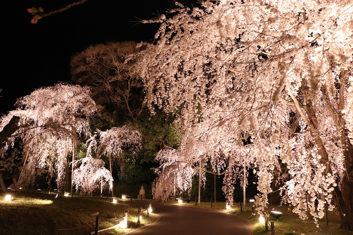 霊宝館庭園