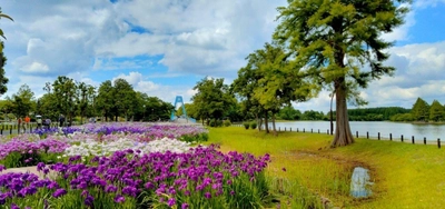 【5/16（日）～6/14（日）開催】水元公園の魅力再発見ウィーク！
