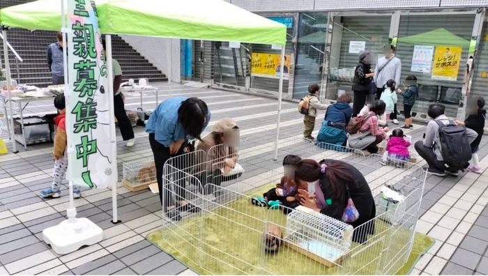 譲渡会の様子