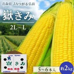 圧倒的な甘さのプレミアムとうもろこし！ 青森県産「嶽きみ」が産地直送通販サイト「ＪＡタウン」で販売開始！