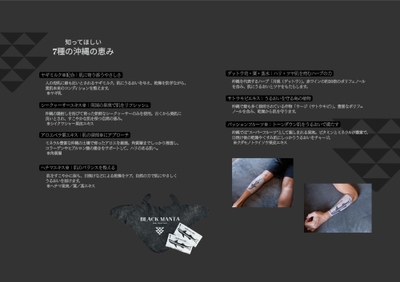 資料＿P12