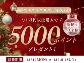 クリスマス特別企画！セラミド化粧品を購入すると抽選で5000ポイントプレゼント