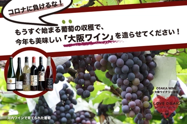 もうすぐ始まる葡萄の収穫とワイン造り “大阪ワイナリー”応援プロジェクトが7/17～スタート！