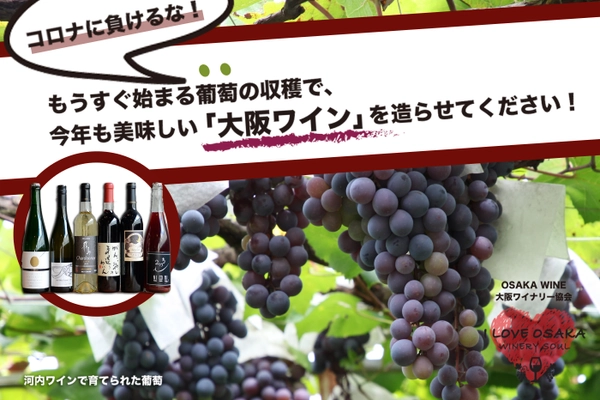 もうすぐ始まる葡萄の収穫とワイン造り “大阪ワイナリー”応援プロジェクトが7/17～スタート！