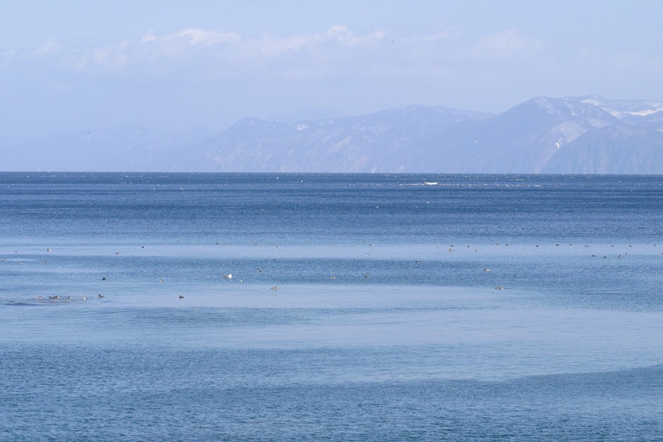 ホタテのふるさと青森県の陸奥湾