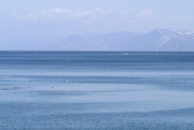 ホタテのふるさと青森県の陸奥湾