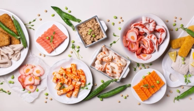 日本の植物由来シーフード市場規模は2034年までに7,910万米ドルに達する見込み｜年平均成長率（CAGR）は28.91%