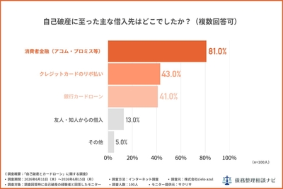 自己破産に至った主な借入先はどこでしたか?(複数回答可)