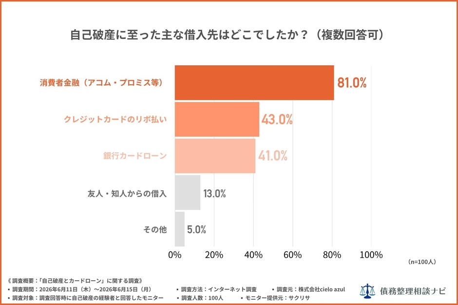 自己破産に至った主な借入先はどこでしたか?(複数回答可)