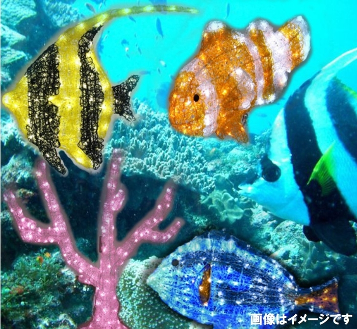 ひまわり広場を彩る魚たちのイメージ