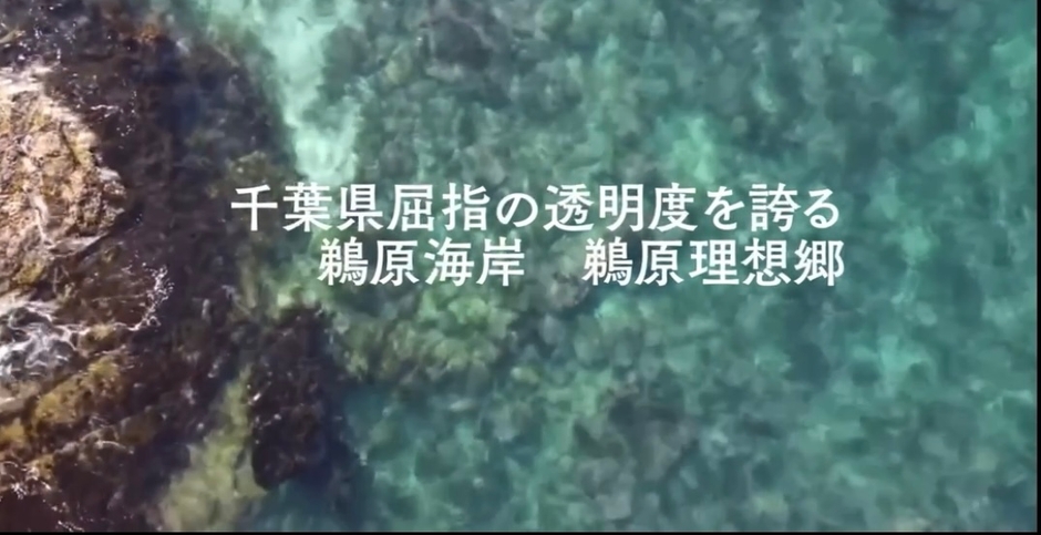 千葉県勝浦市鵜原理想の海水