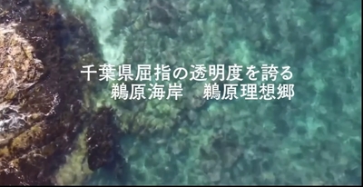 千葉県勝浦市鵜原理想の海水