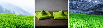 厳選されたオリジナルブレンド抹茶「さとり」