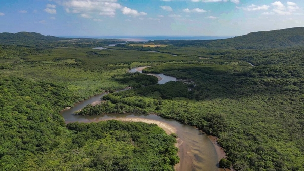 島の90%がジャングルに覆われた西表島