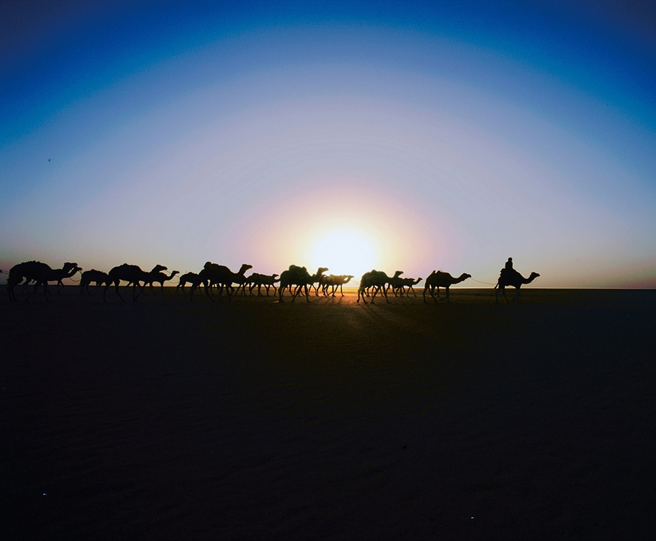 (Photo_07)　タウデニ　出発したキャラバンに朝日が昇る　(マリ)　2003年　撮影：片平孝